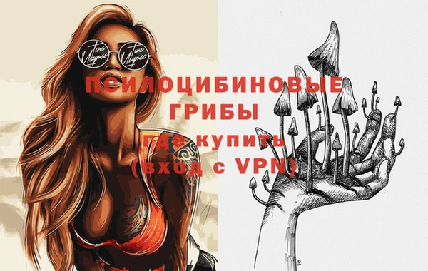 2c-b Балахна